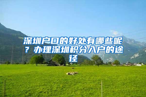 深圳户口的好处有哪些呢？办理深圳积分入户的途径