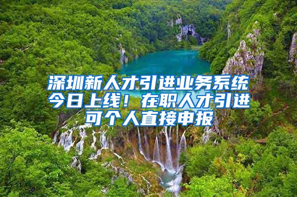 深圳新人才引进业务系统今日上线！在职人才引进可个人直接申报