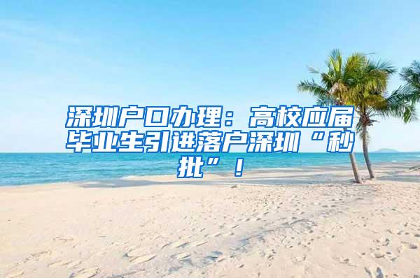 深圳户口办理：高校应届毕业生引进落户深圳“秒批”！