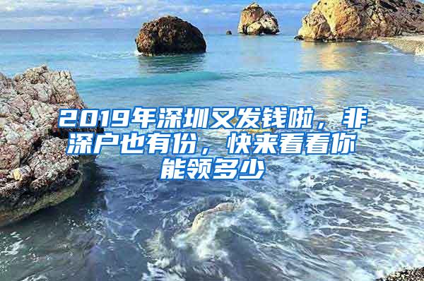 2019年深圳又发钱啦，非深户也有份，快来看看你能领多少