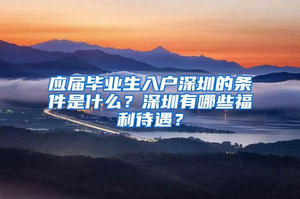 应届毕业生入户深圳的条件是什么？深圳有哪些福利待遇？