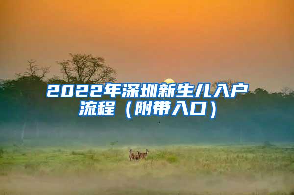 2022年深圳新生儿入户流程（附带入口）