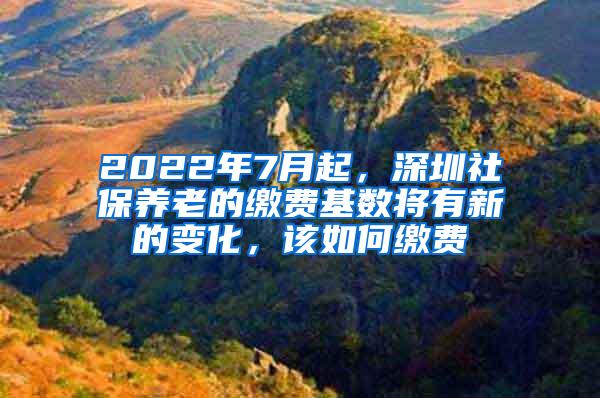 2022年7月起，深圳社保养老的缴费基数将有新的变化，该如何缴费