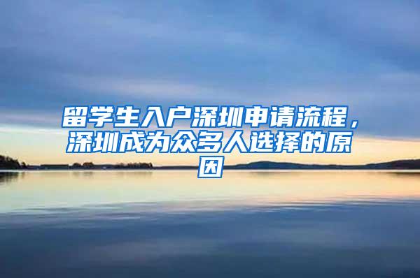 留学生入户深圳申请流程，深圳成为众多人选择的原因