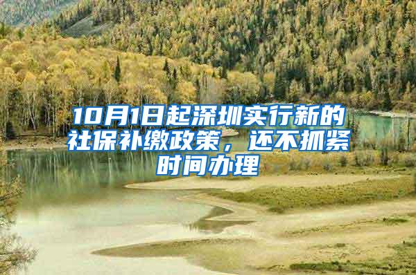 10月1日起深圳实行新的社保补缴政策，还不抓紧时间办理