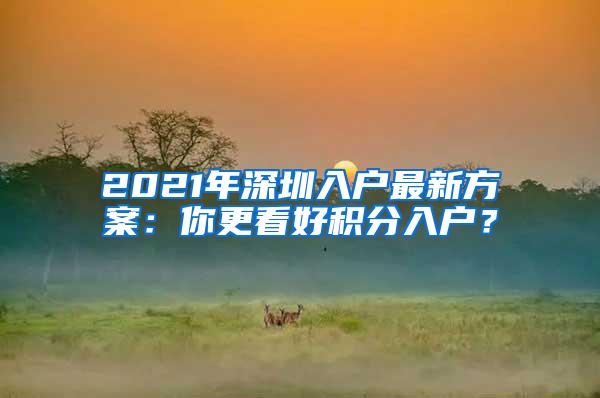 2021年深圳入户最新方案：你更看好积分入户？