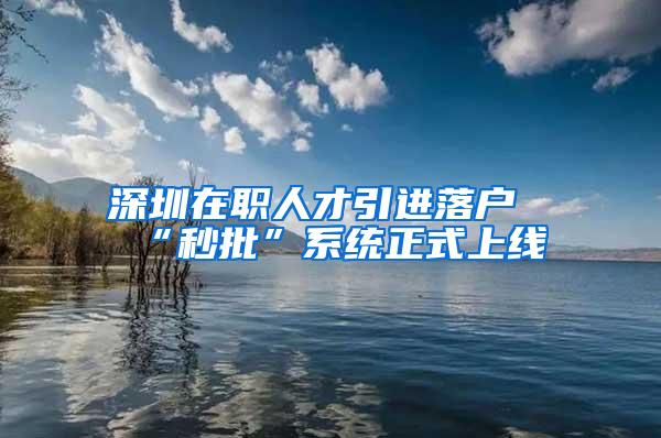 深圳在职人才引进落户“秒批”系统正式上线