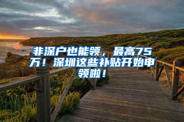 非深户也能领，最高75万！深圳这些补贴开始申领啦！