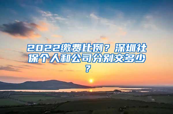 2022缴费比例？深圳社保个人和公司分别交多少？