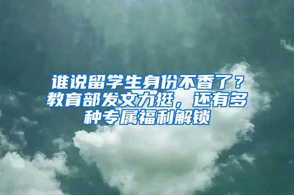 谁说留学生身份不香了？教育部发文力挺，还有多种专属福利解锁