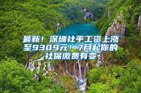 最新！深圳社平工资上涨至9309元！7月起你的社保缴费有变