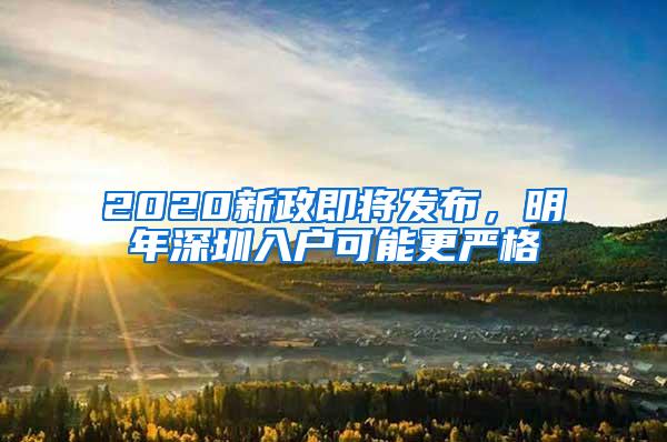 2020新政即将发布，明年深圳入户可能更严格