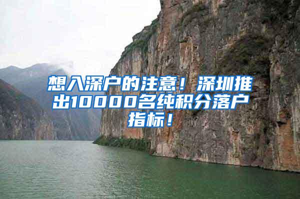 想入深户的注意！深圳推出10000名纯积分落户指标！