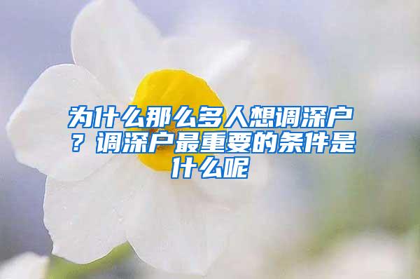 为什么那么多人想调深户？调深户最重要的条件是什么呢