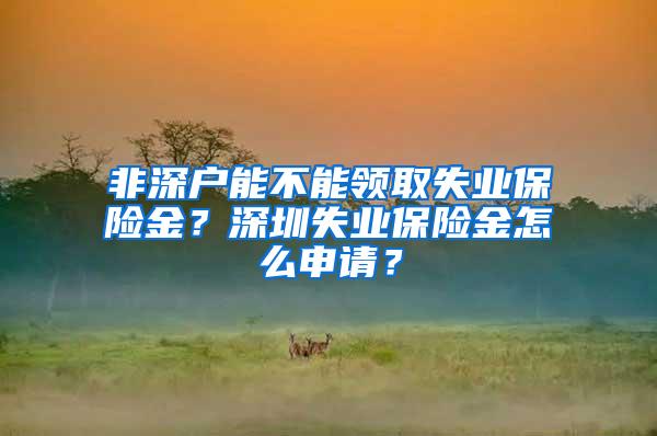 非深户能不能领取失业保险金？深圳失业保险金怎么申请？