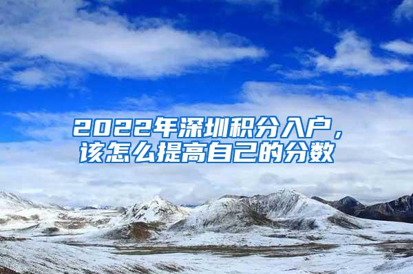 2022年深圳积分入户，该怎么提高自己的分数