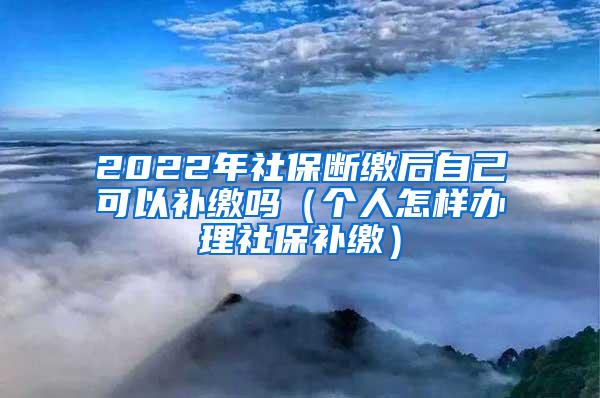 2022年社保断缴后自己可以补缴吗（个人怎样办理社保补缴）