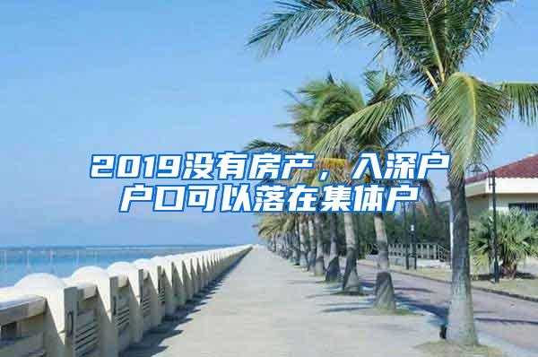 2019没有房产，入深户户口可以落在集体户