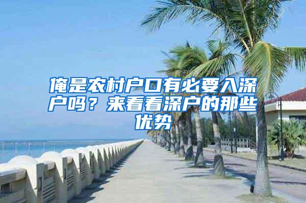 俺是农村户口有必要入深户吗？来看看深户的那些优势