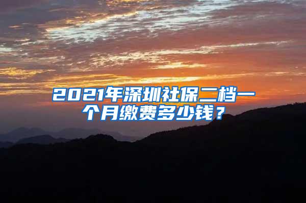 2021年深圳社保二档一个月缴费多少钱？