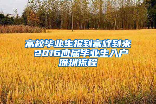 高校毕业生报到高峰到来 2016应届毕业生入户深圳流程