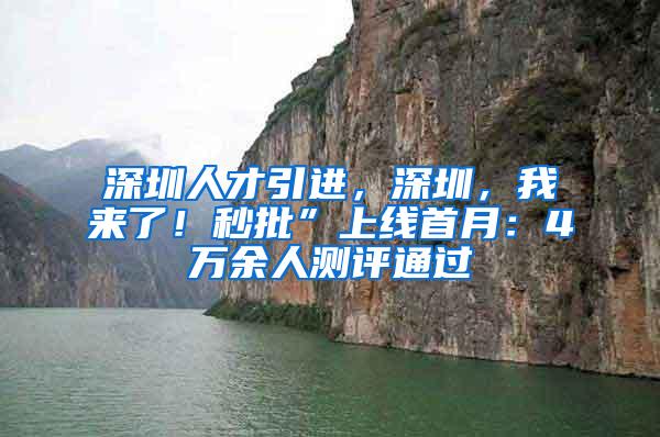 深圳人才引进，深圳，我来了！秒批”上线首月：4万余人测评通过