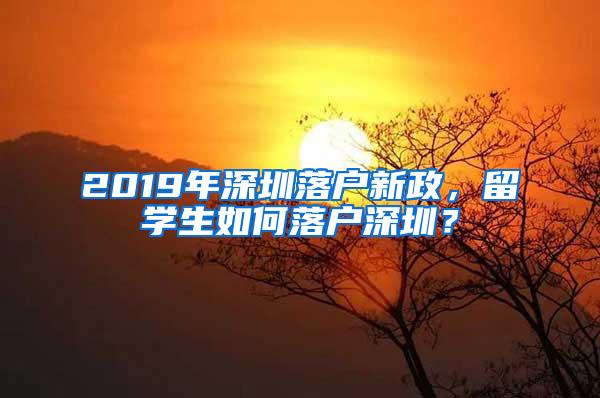 2019年深圳落户新政，留学生如何落户深圳？