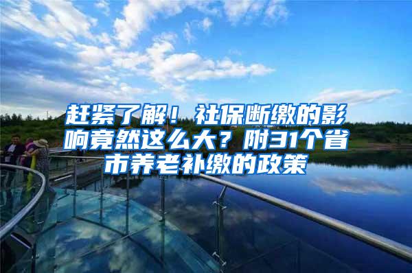 赶紧了解！社保断缴的影响竟然这么大？附31个省市养老补缴的政策