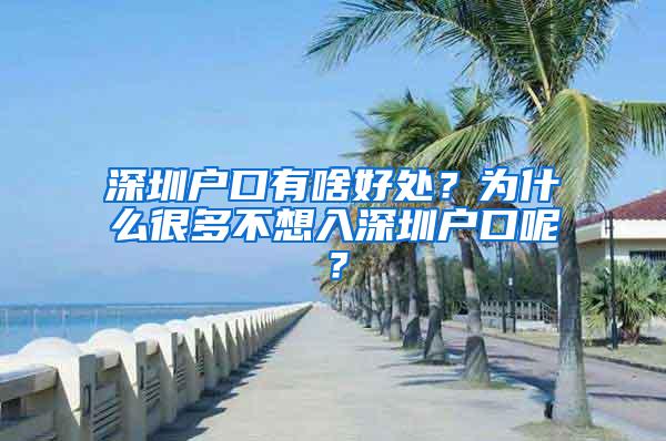 深圳户口有啥好处？为什么很多不想入深圳户口呢？