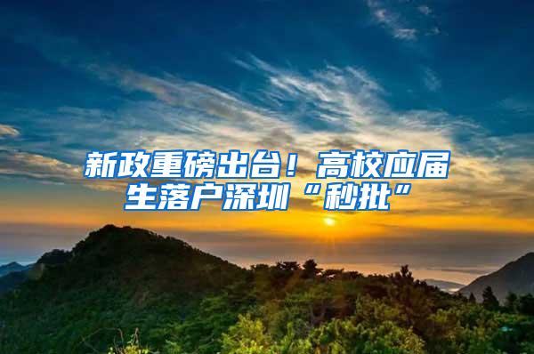 新政重磅出台！高校应届生落户深圳“秒批”