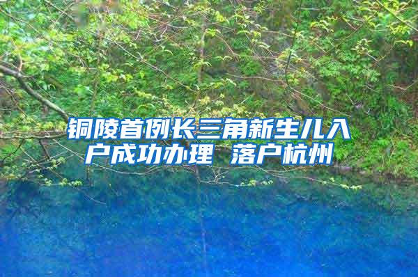 铜陵首例长三角新生儿入户成功办理 落户杭州