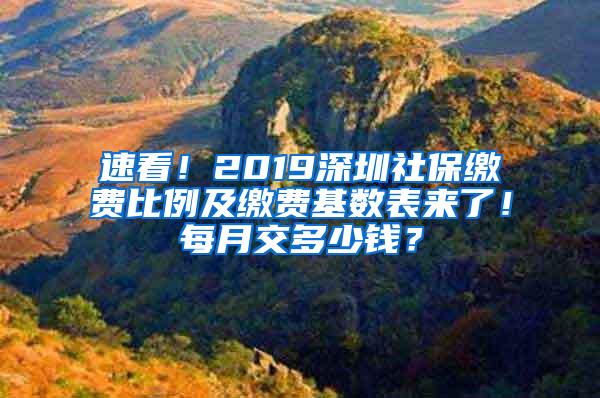 速看！2019深圳社保缴费比例及缴费基数表来了！每月交多少钱？