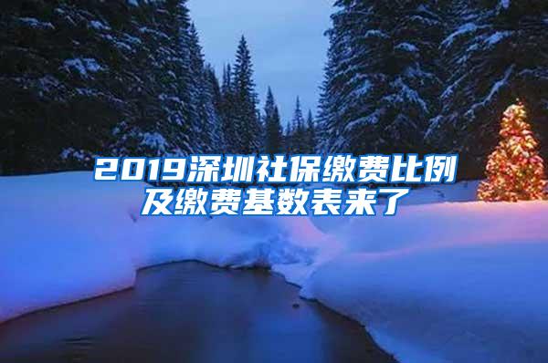 2019深圳社保缴费比例及缴费基数表来了