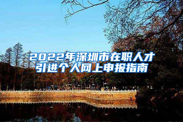 2022年深圳市在职人才引进个人网上申报指南