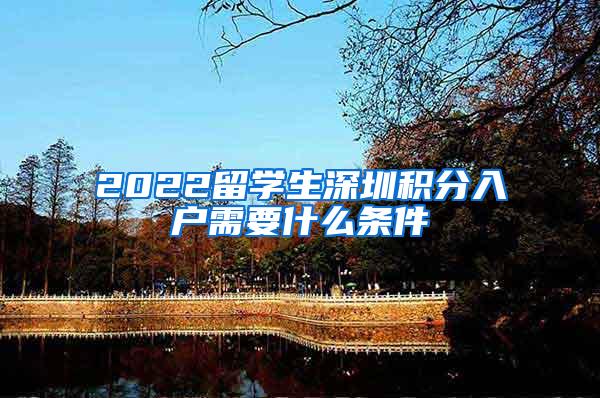 2022留学生深圳积分入户需要什么条件