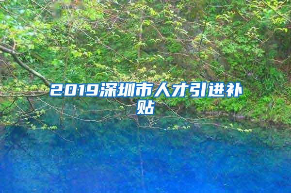 2019深圳市人才引进补贴