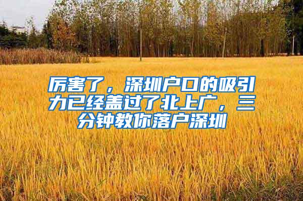 厉害了，深圳户口的吸引力已经盖过了北上广，三分钟教你落户深圳