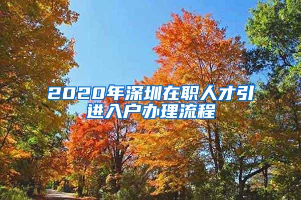 2020年深圳在职人才引进入户办理流程