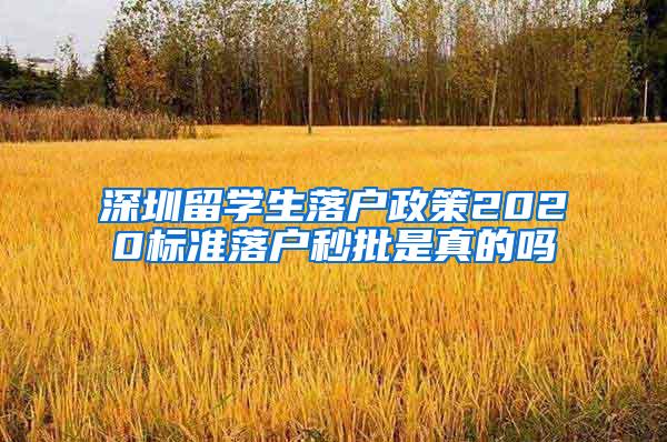 深圳留学生落户政策2020标准落户秒批是真的吗