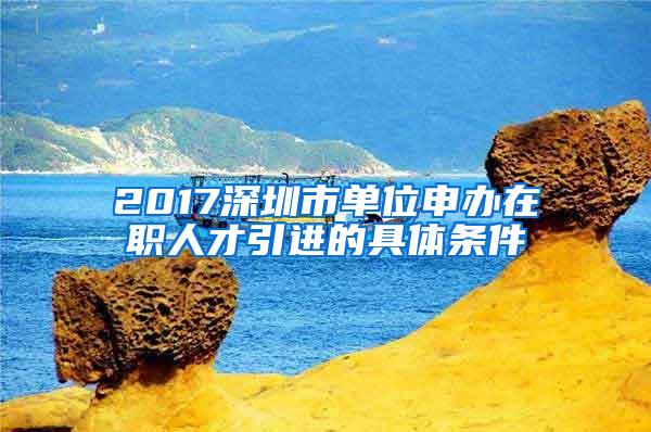 2017深圳市单位申办在职人才引进的具体条件