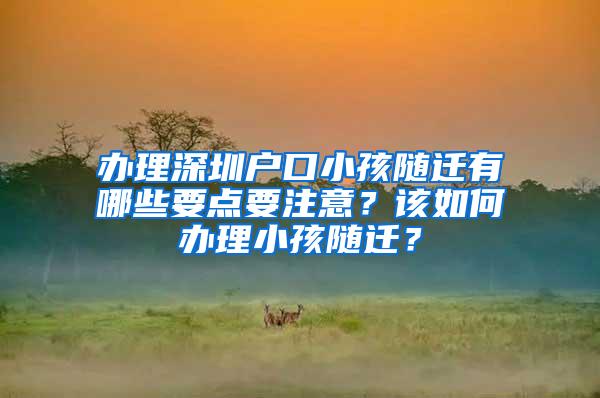 办理深圳户口小孩随迁有哪些要点要注意？该如何办理小孩随迁？