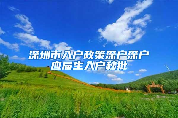 深圳市入户政策深户深户应届生入户秒批