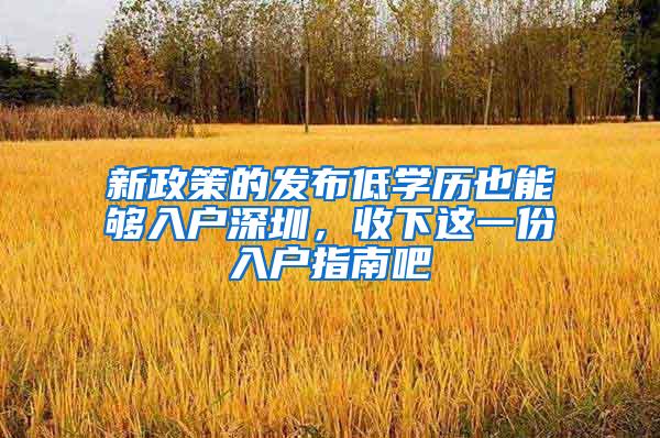 新政策的发布低学历也能够入户深圳，收下这一份入户指南吧