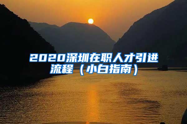 2020深圳在职人才引进流程（小白指南）