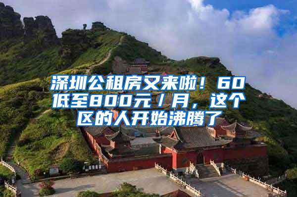 深圳公租房又来啦！60㎡低至800元／月，这个区的人开始沸腾了