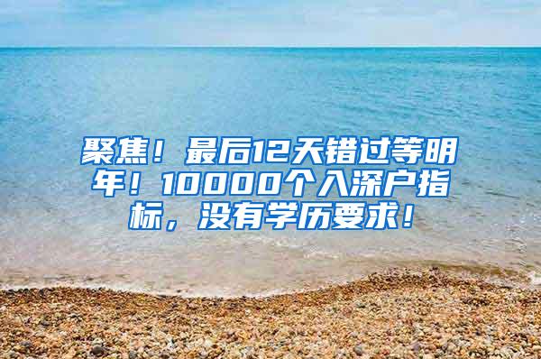 聚焦！最后12天错过等明年！10000个入深户指标，没有学历要求！