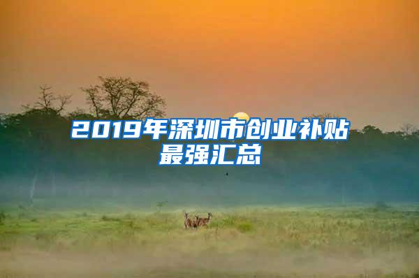 2019年深圳市创业补贴最强汇总