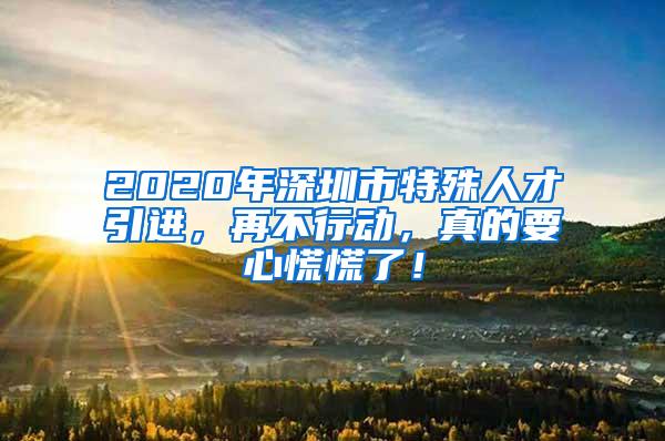 2020年深圳市特殊人才引进，再不行动，真的要心慌慌了！