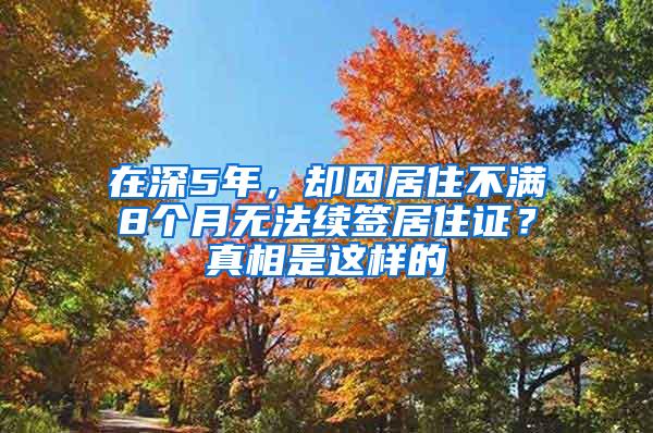 在深5年，却因居住不满8个月无法续签居住证？真相是这样的