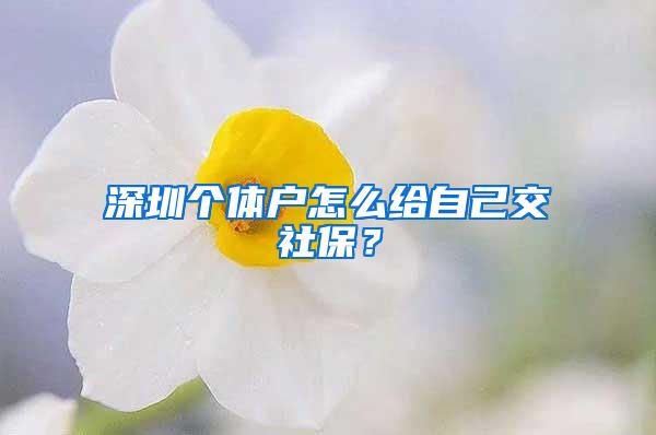 深圳个体户怎么给自己交社保？